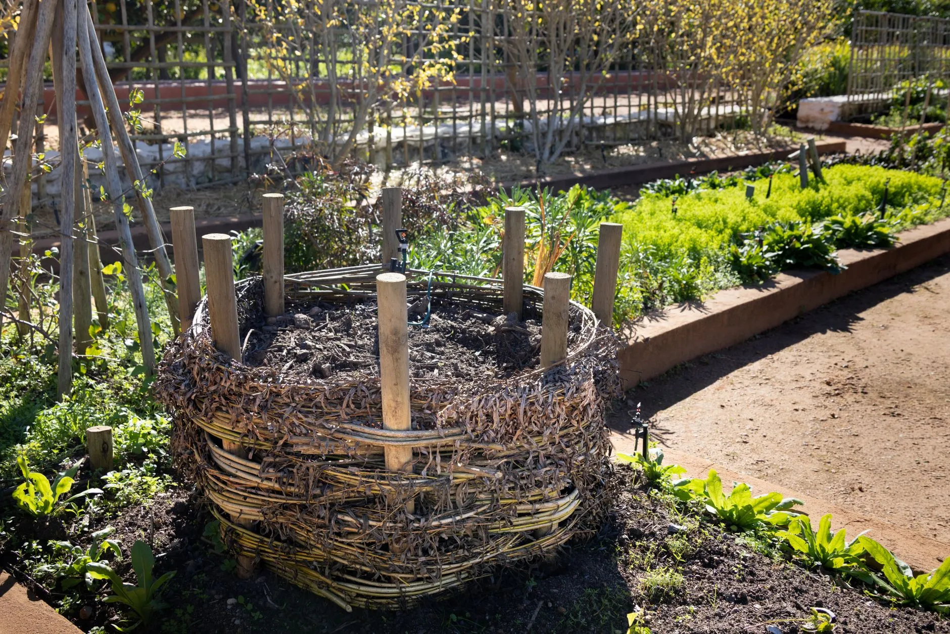 How to Compost at Home: A Beginner's Guide