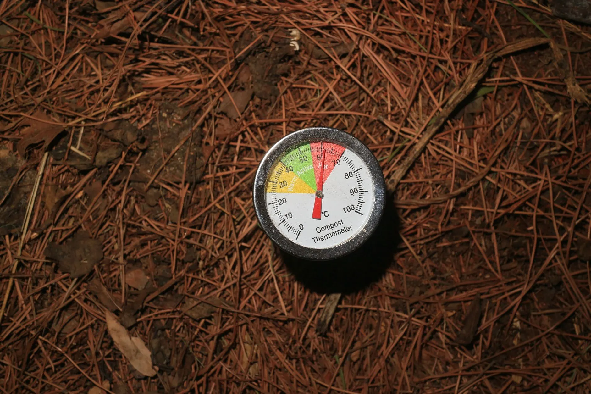 A compost thermometer inserted into a pile, reading in the hot range