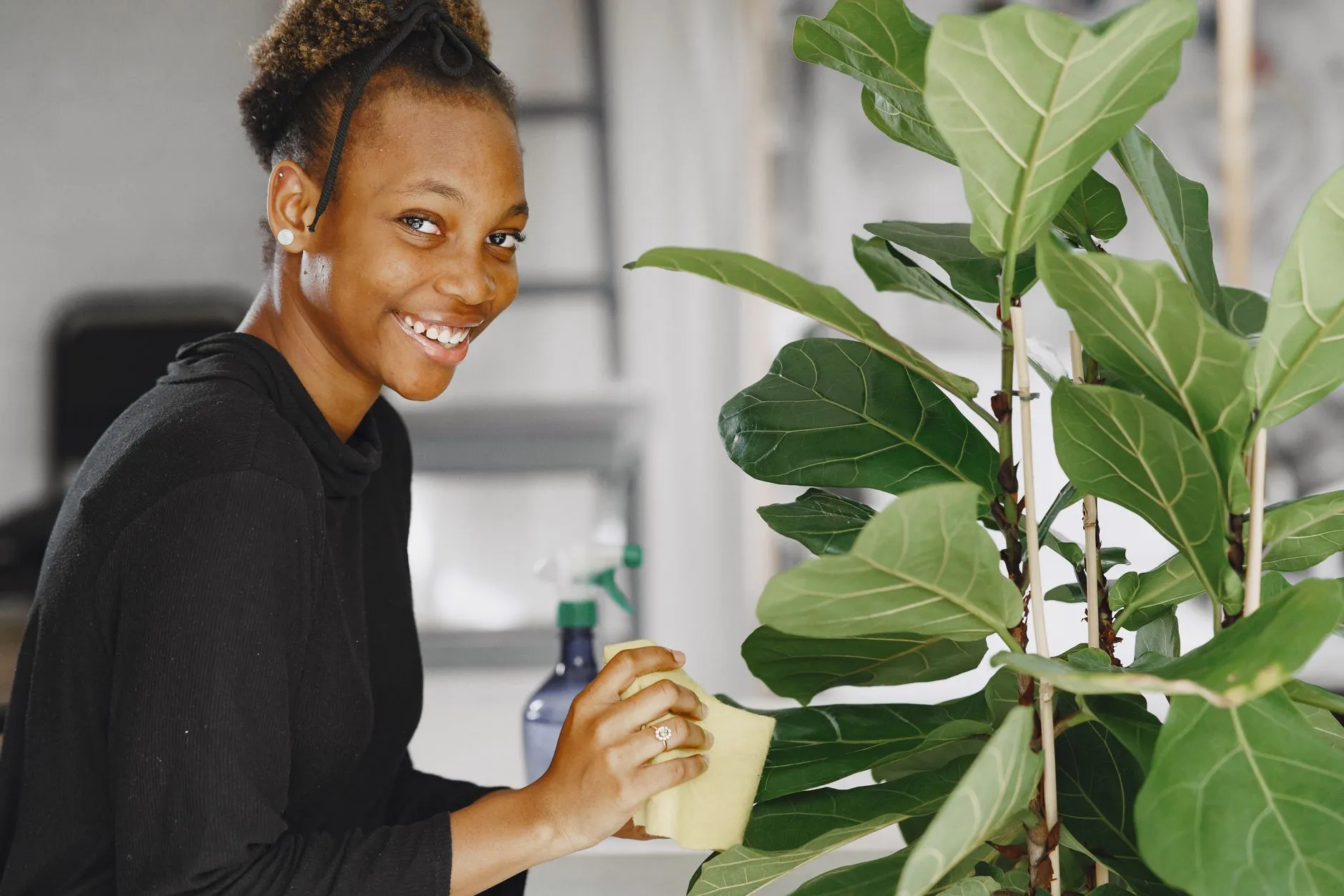 How to Care for a Fiddle Leaf Fig (Without Killing It)