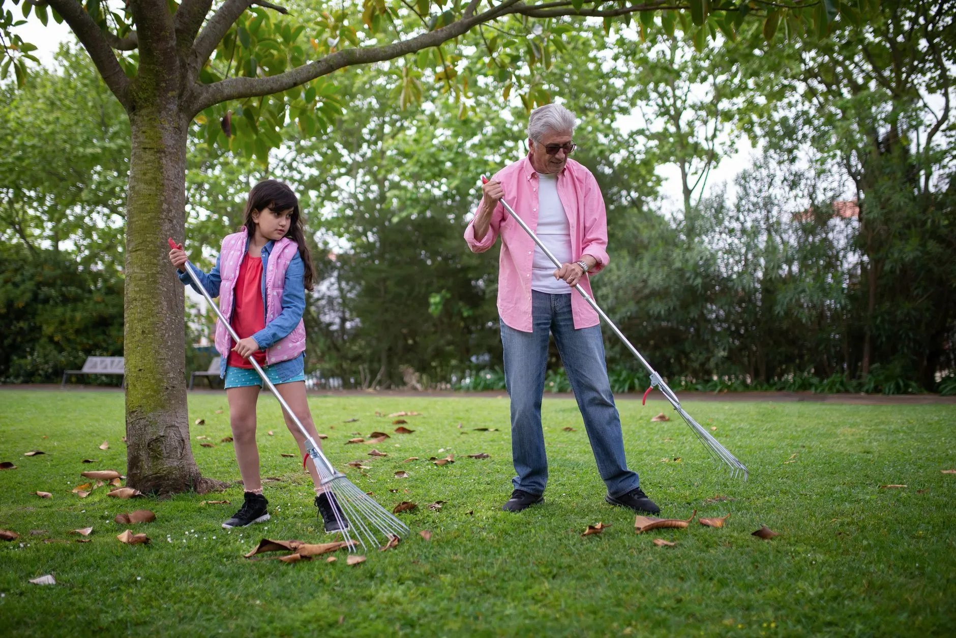 How to Rake Leaves Efficiently (and What to Do With Them After)