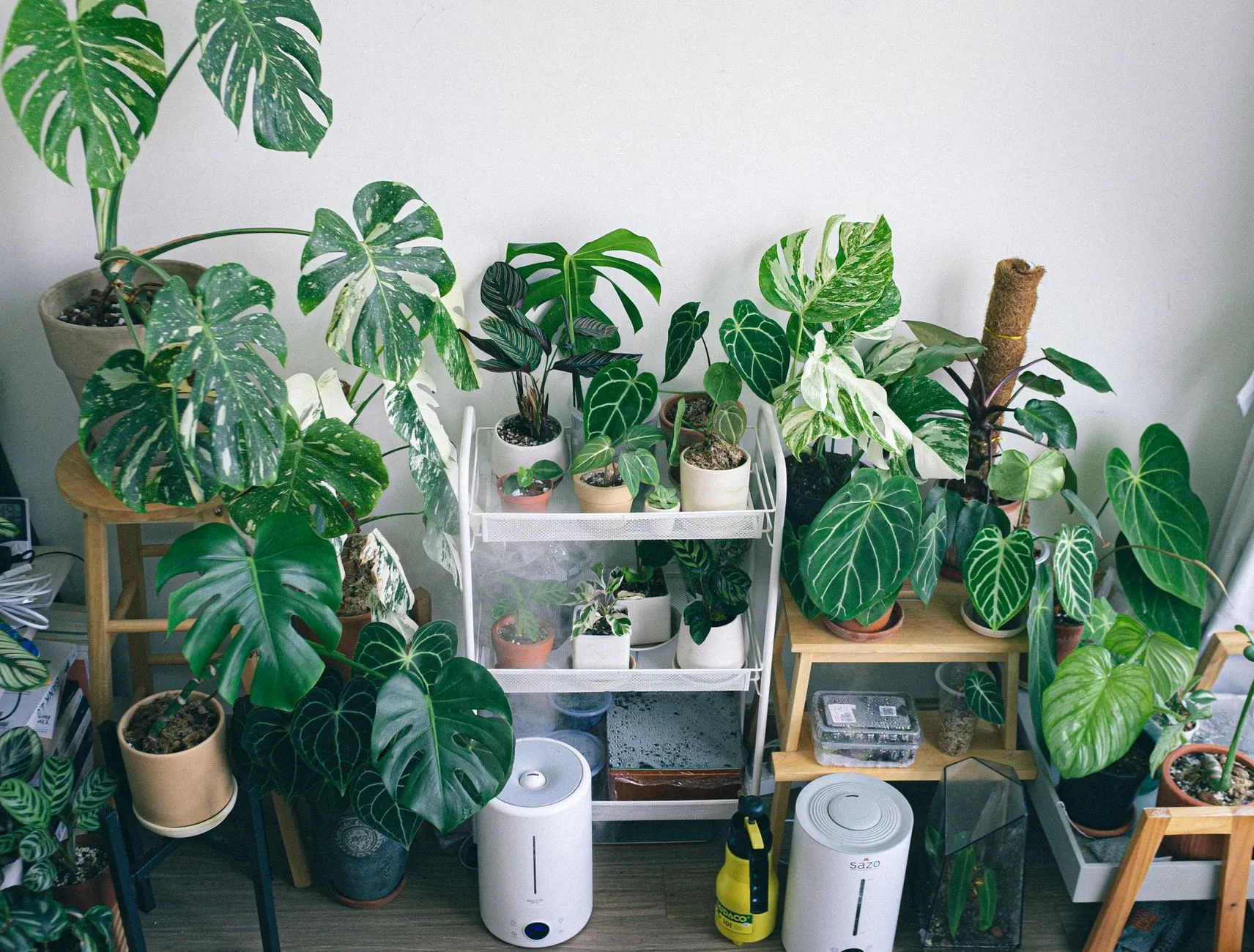 How to Raise Humidity for Houseplants Once the Heat Kicks On