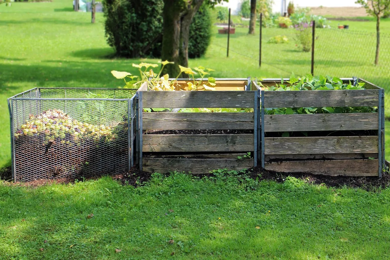 How to Plant a Fall Cover Crop to Improve Your Soil Over Winter